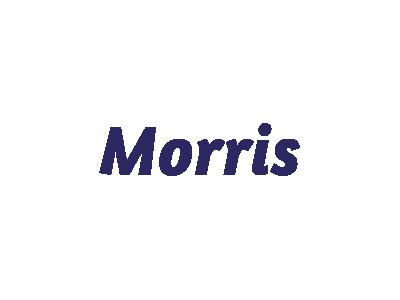 Morris - Modellautos