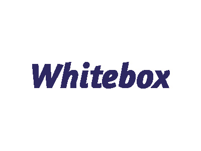 Whitebox - Modellautos