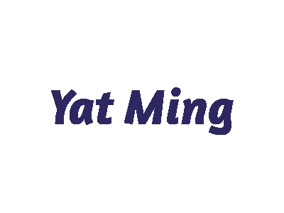 Yat Ming - Modellautos