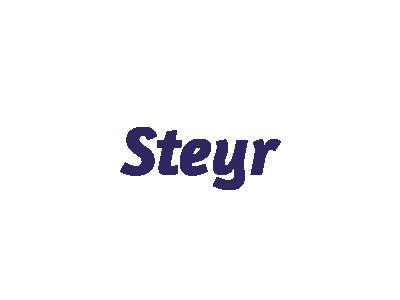 Steyr - Modellautos