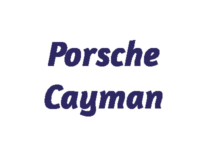 Porsche Cayman Modellautos