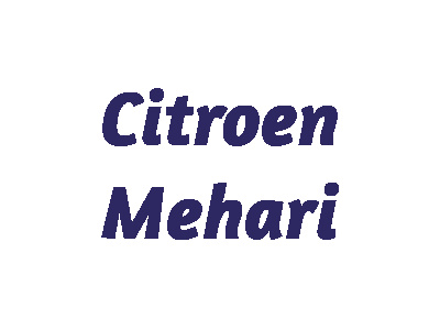 Citroen Mehari Modellautos