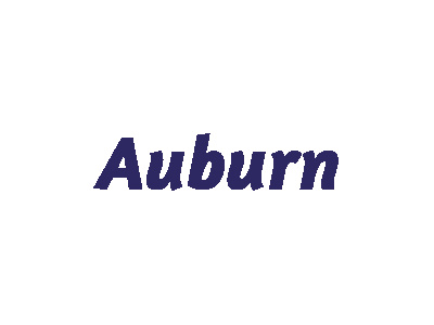 Auburn - Modellautos