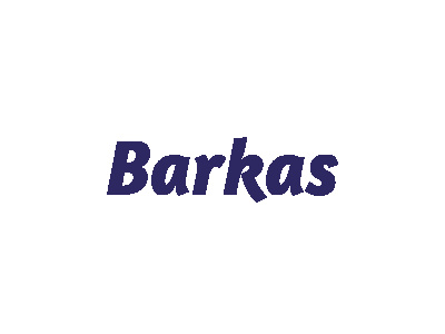 Barkas - Modellautos