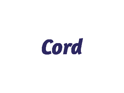Cord - Modellautos