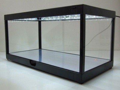 Klarsichtbox Vitrine mit LED-Deckenbeleuchtung und...