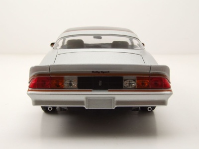 Chevrolet Camaro Z/28 Rally Sport 1978 silber schwarz Modellauto 1:18 Greenlight Collectibles