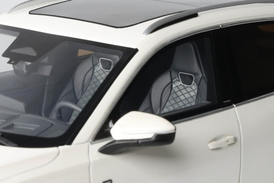 VW Tiguan E TSI R-Line 2024 weiß metallic Modellauto 1:18 Ottomobile